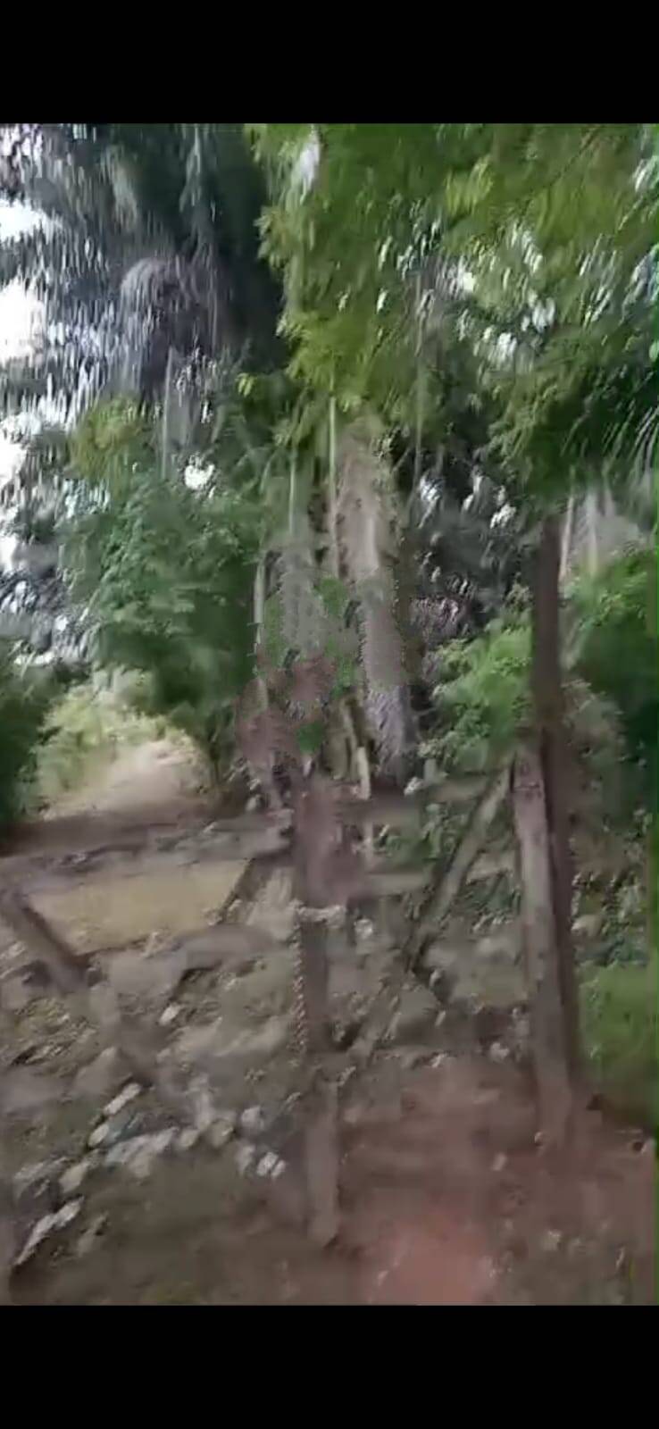 #11 - Área para Venda em Camaçari - BA