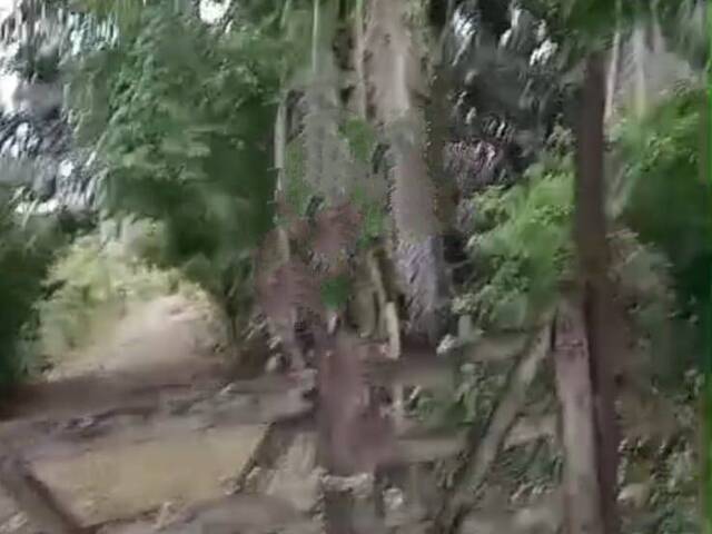 #11 - Área para Venda em Camaçari - BA